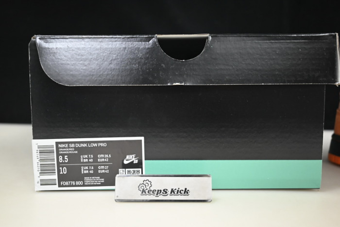 concepts x dunk low sb 