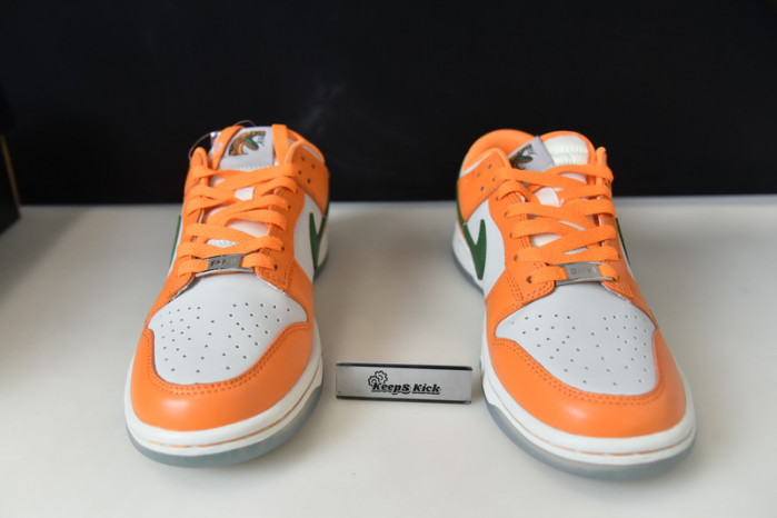 florida a&m x nike dunk low dr6188-800